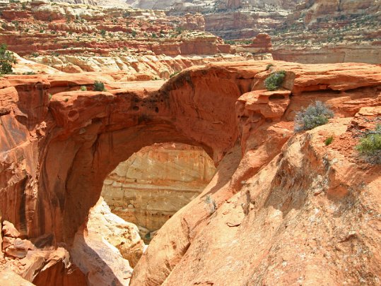 Capitol Reef National Park Utah - Etats-Unis